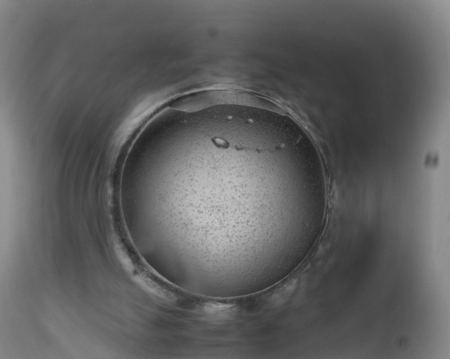 X0000112810055200908281516