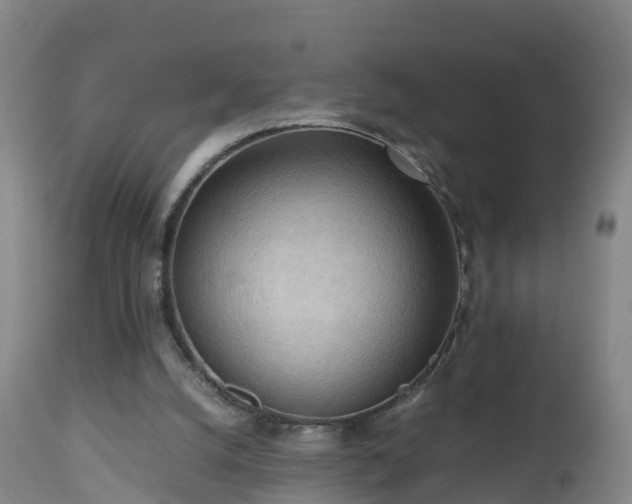 X0000112810056200908281516