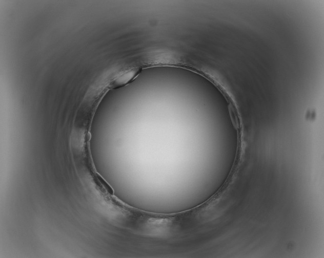 X0000112810057200908281516