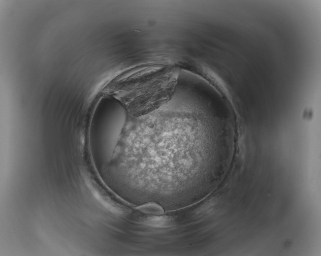 X0000112810059200908281516