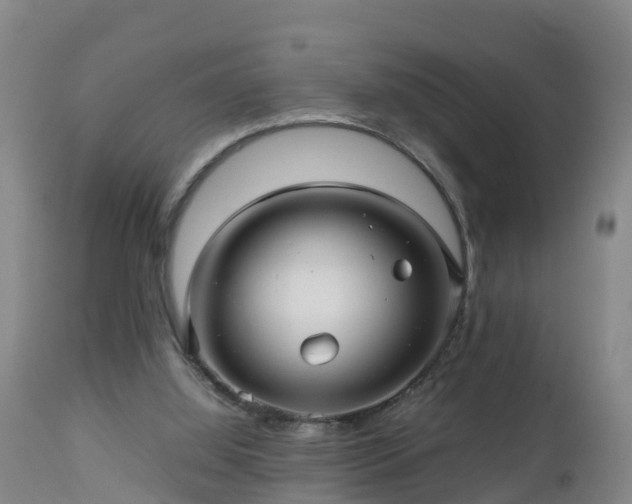 X0000112810060200908281516