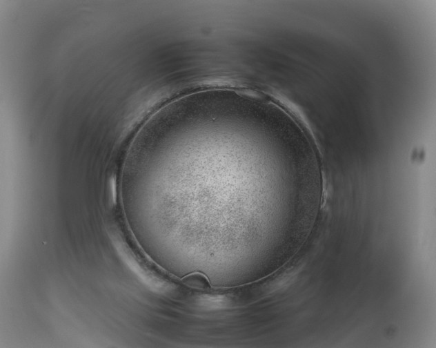 X0000112810061200908281516