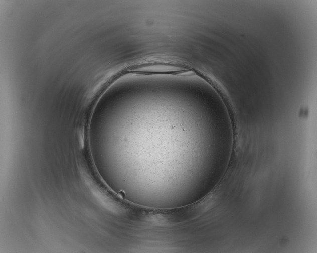 X0000112810062200908281516