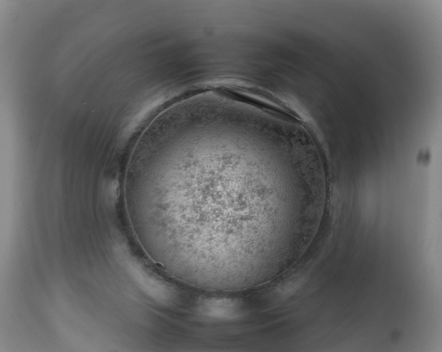 X0000112810063200908281517