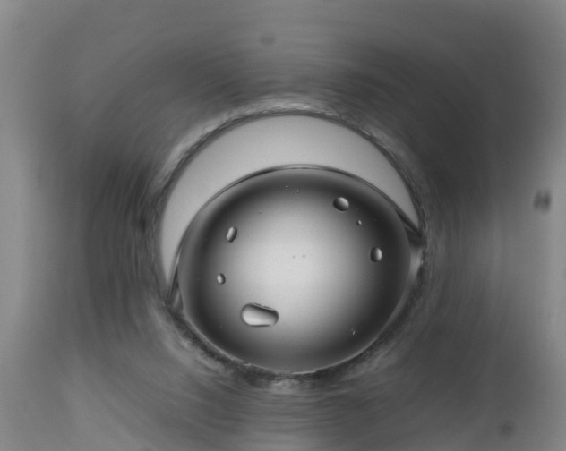 X0000112810064200908281517