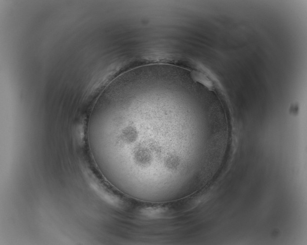 X0000112810065200908281517