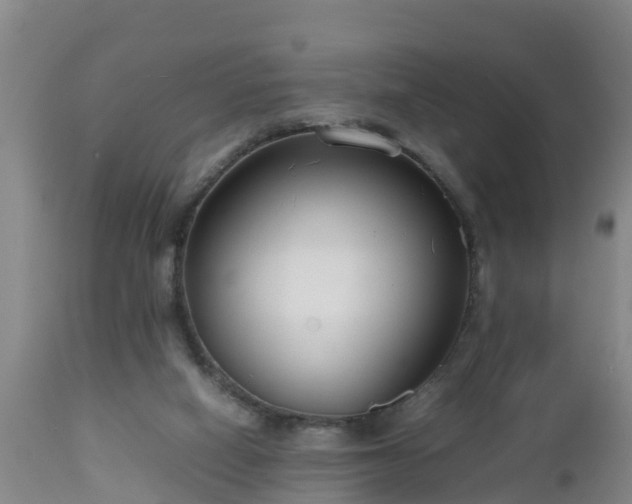 X0000112810066200908281517