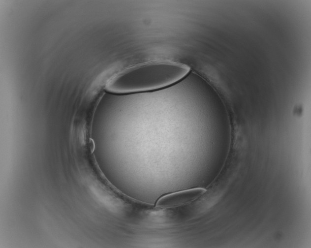 X0000112810068200908281517