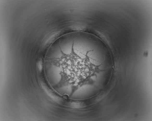 X0000112810069200908281517