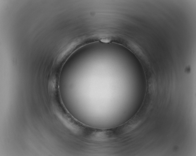 X0000112810072200908281517