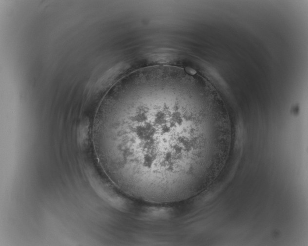 X0000112810073200908281517