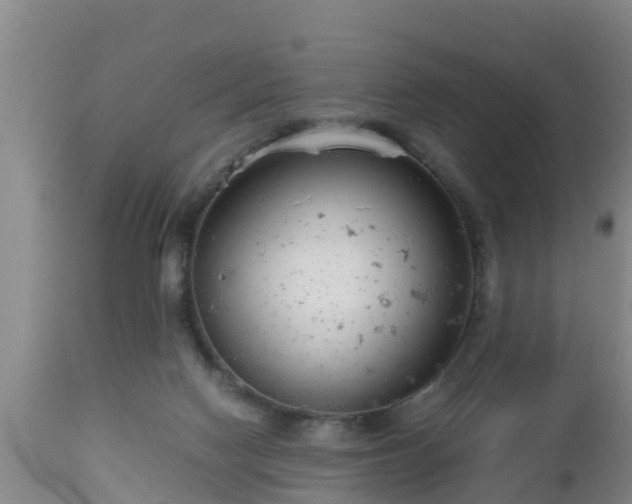 X0000112810074200908281517