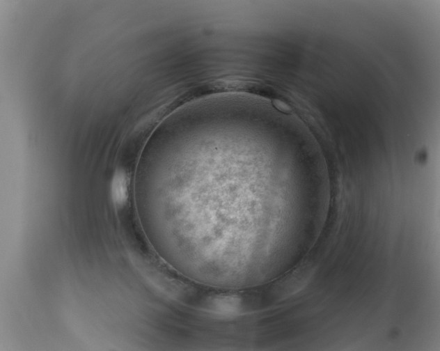 X0000112810075200908281517