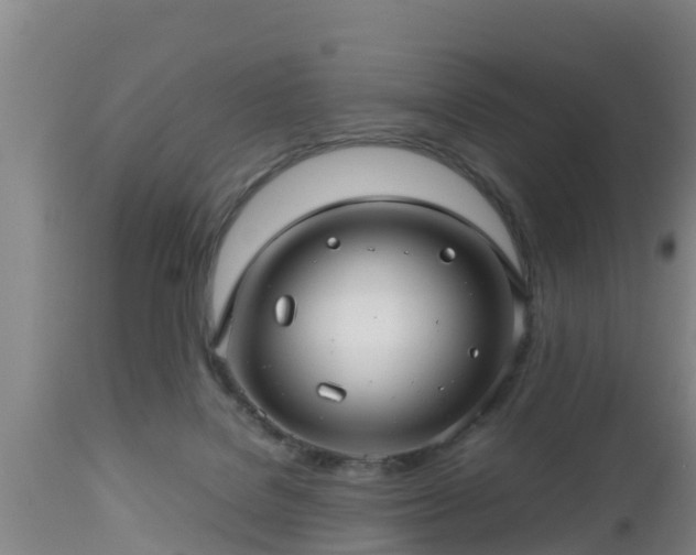 X0000112810076200908281517