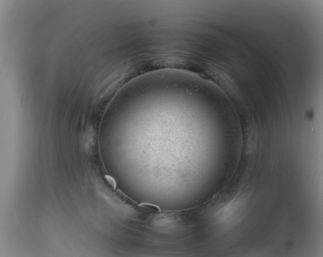 X0000112810077200908281517