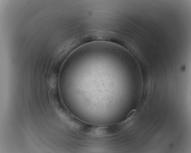 X0000112810078200908281517