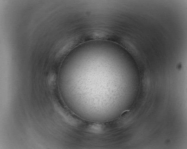 X0000112810079200908281517