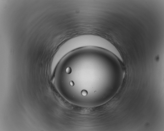 X0000112810080200908281517