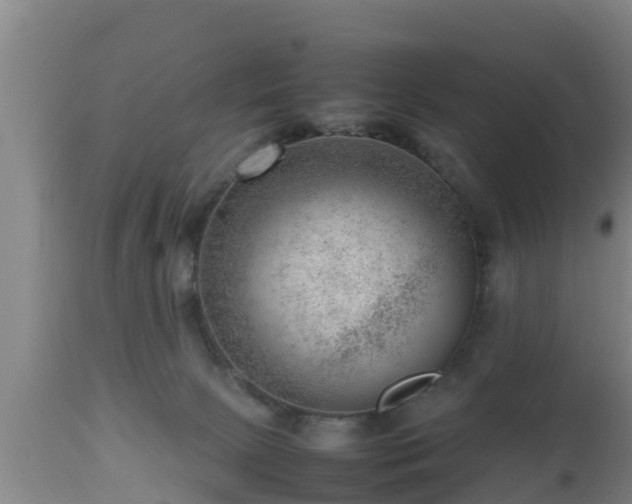 X0000112810081200908281517