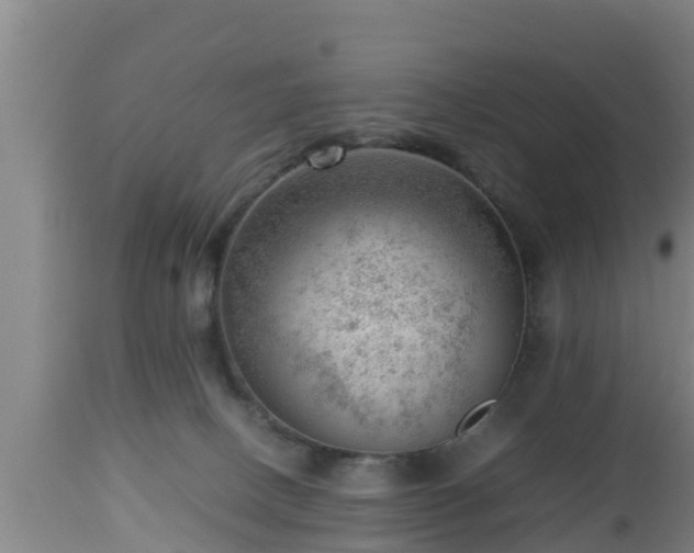 X0000112810082200908281517