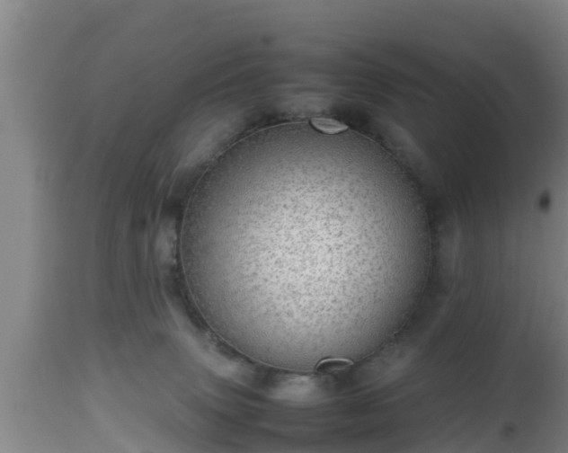 X0000112810083200908281517