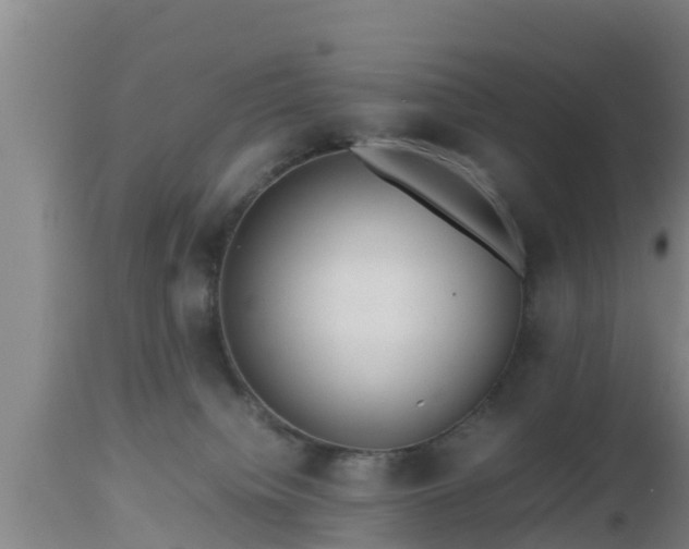 X0000112810084200908281517
