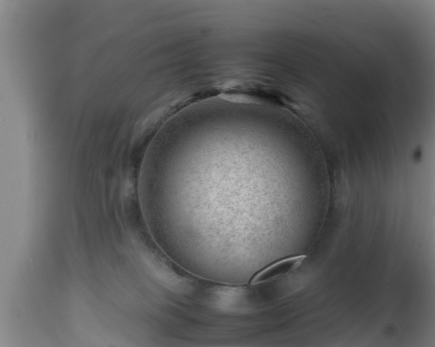 X0000112810085200908281517