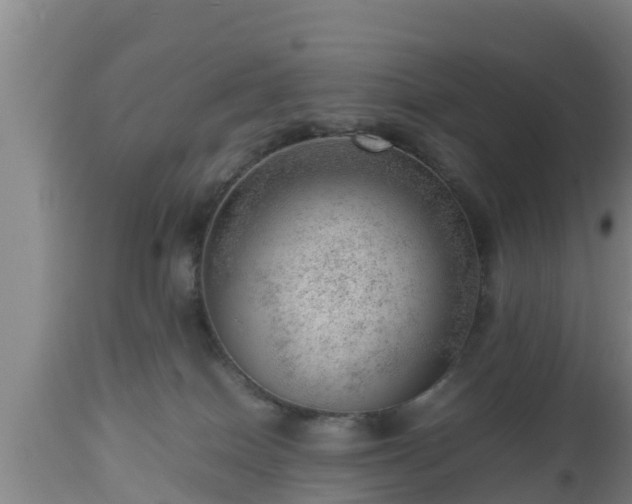 X0000112810086200908281517