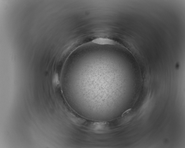 X0000112810089200908281517