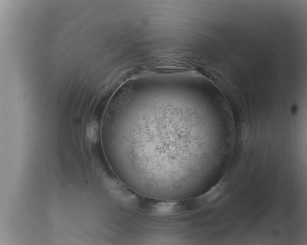 X0000112810090200908281517