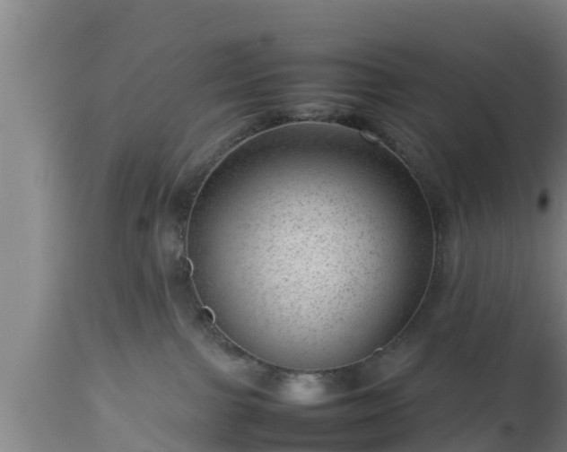 X0000112810091200908281517