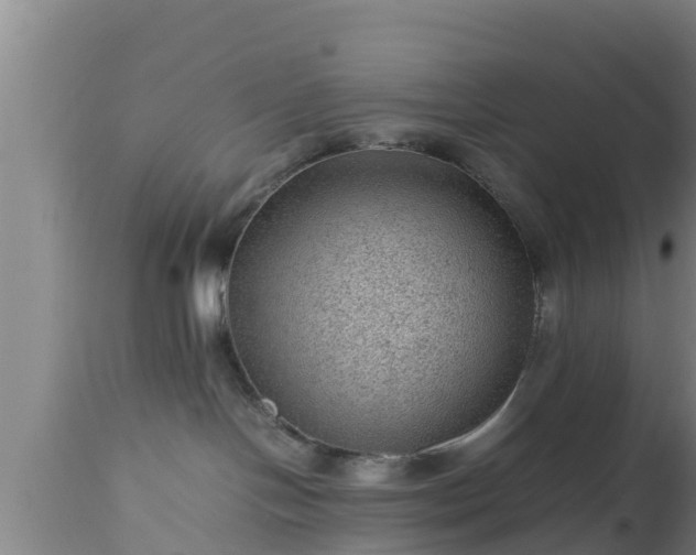 X0000112810094200908281517