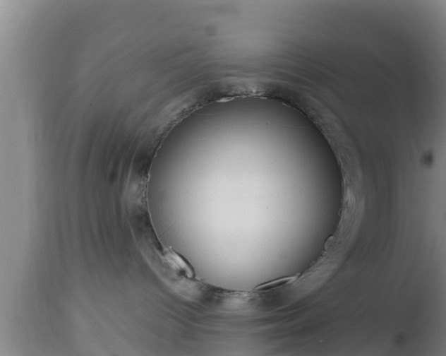 X0000112810096200908281517