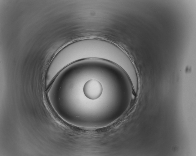 X0000112810097200908281516