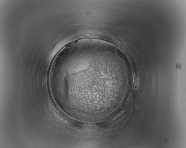 X0000112810099200908281516