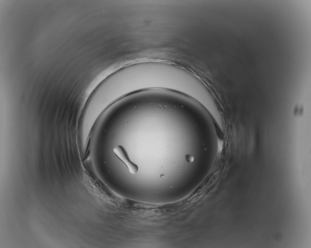 X0000112810100200908281516