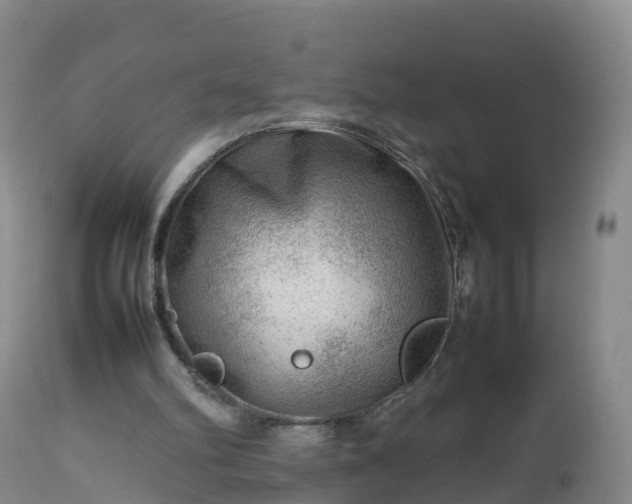 X0000112810102200908281516