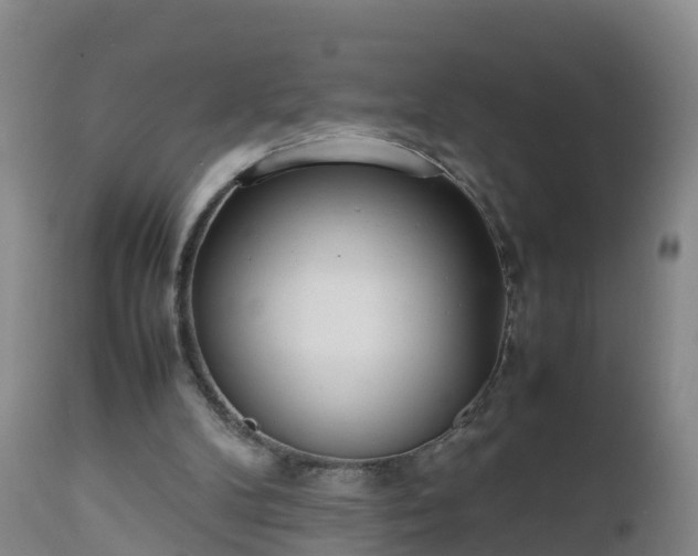 X0000112810104200908281516
