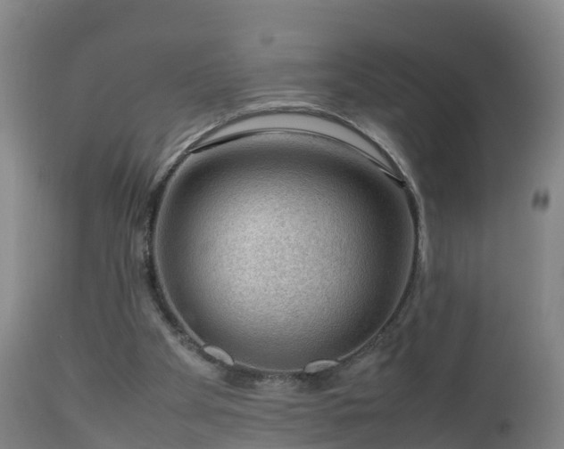 X0000112810105200908281516