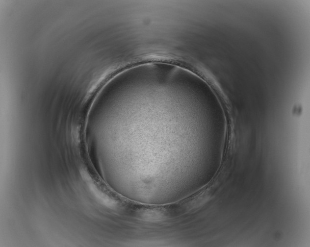 X0000112810106200908281516