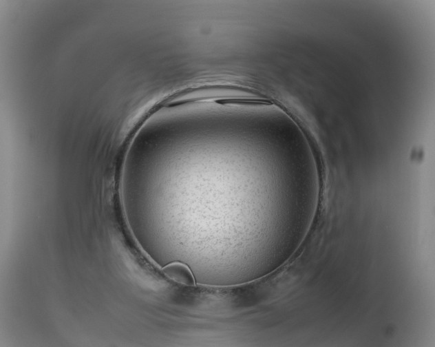 X0000112810107200908281516