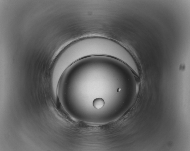 X0000112810108200908281516
