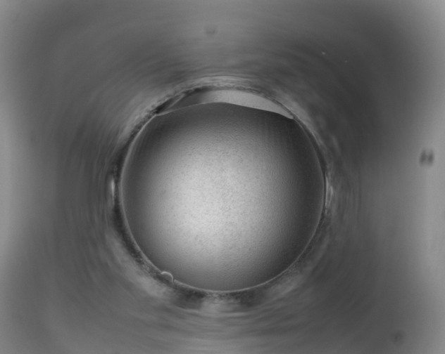 X0000112810109200908281516
