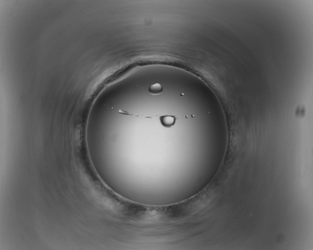 X0000112810111200908281516