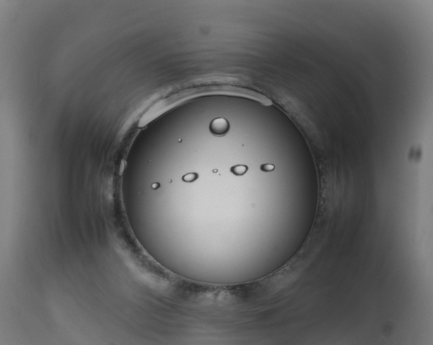 X0000112810112200908281516