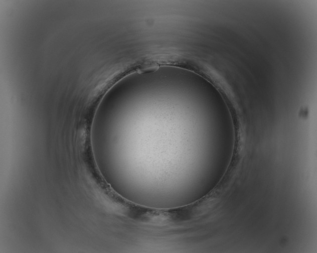 X0000112810113200908281516