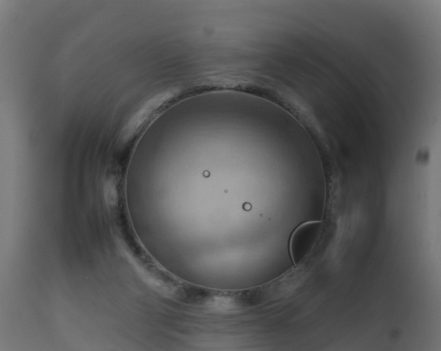 X0000112810114200908281516