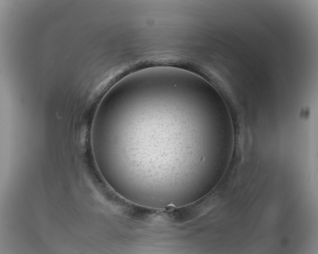 X0000112810115200908281516