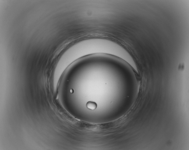 X0000112810116200908281516