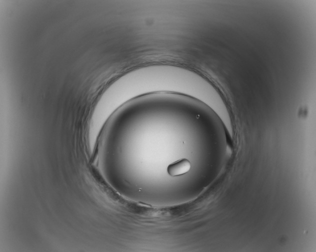 X0000112810117200908281516